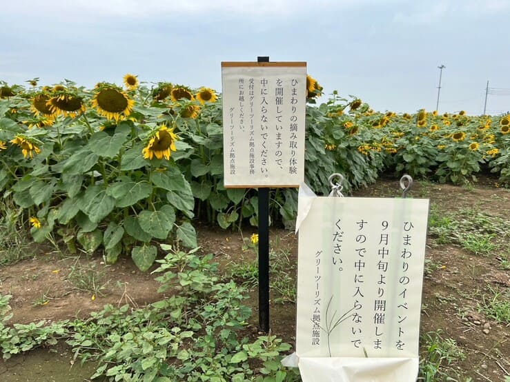 ひまわり川越市農業ふれあいセンター