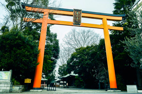 3.川越氷川神社