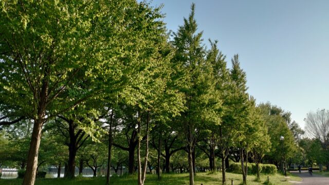 2.ウォーキングコースが整った「川越公園」