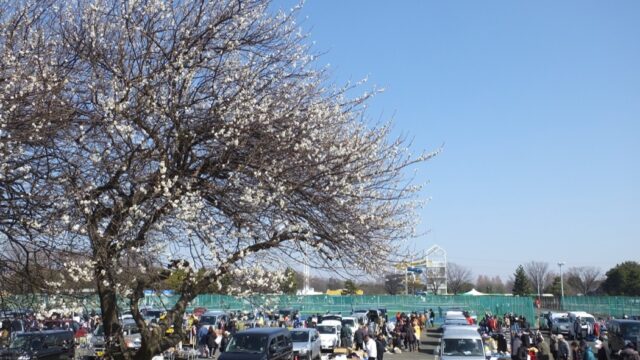 1.散策路や芝生広場がある「川越水城公園」