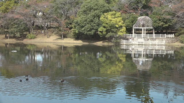 3.野鳥が生息する「御伊勢塚公園」