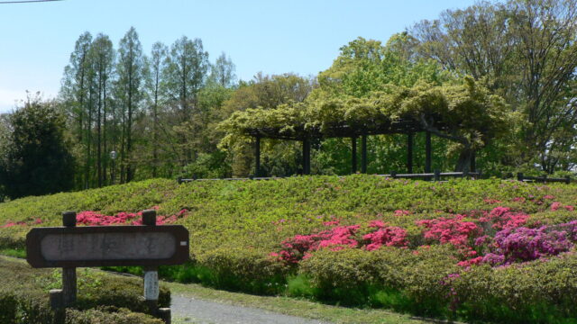 1.花見の名所としても人気の「伊佐沼公園」