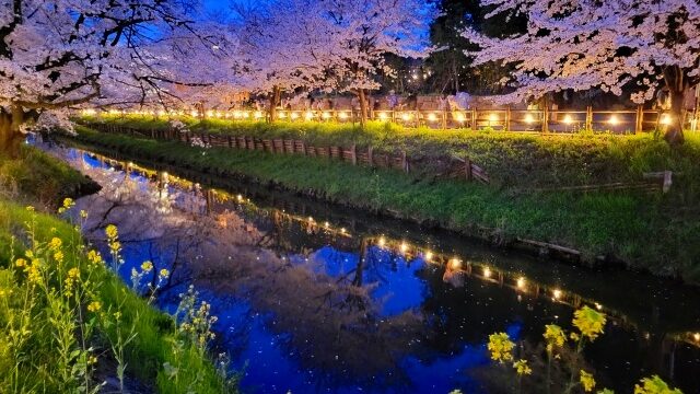 川越でおすすめの初日の出スポット