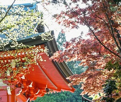 紅葉を楽しめるお寺や神社