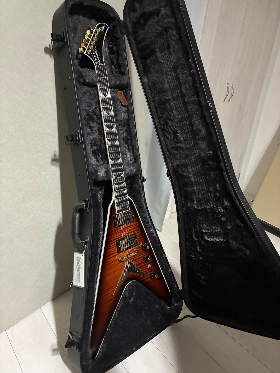 MUTEKI DEAD SNAKE 川越