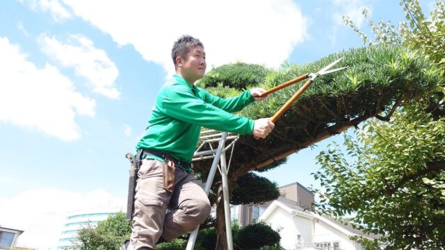笑庭ふじみ野川越