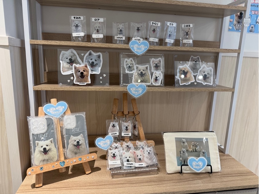 サモエドカフェ アル 川越