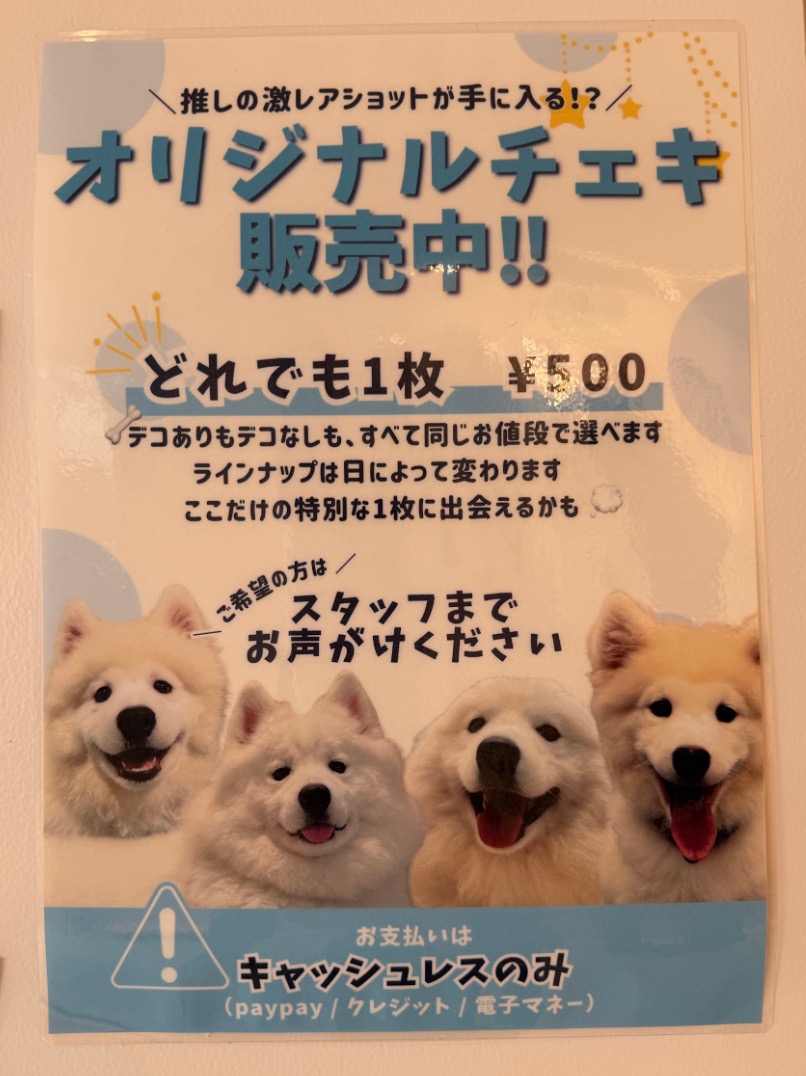 サモエドカフェ アル 川越