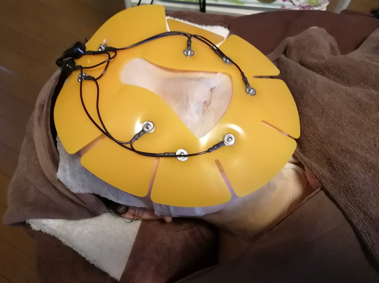 ラニ プルメリア川越