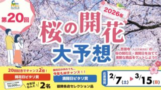 クレアモール 桜 キャンペーン