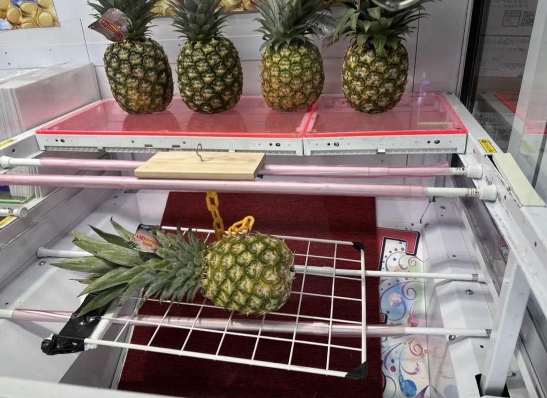 「Benex 川越店（ベネクス川越店）」