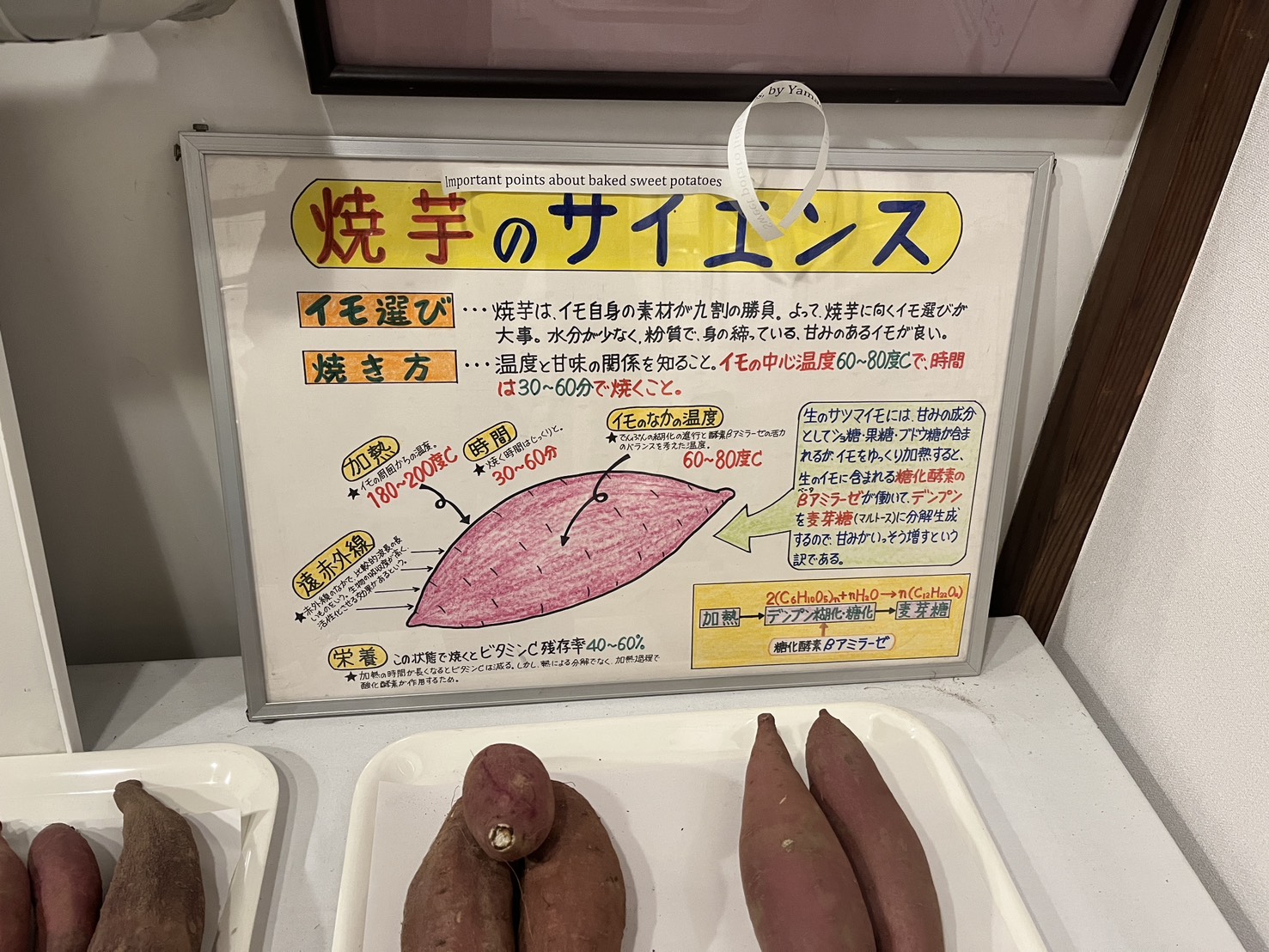サツマイモまんが資料館川越
