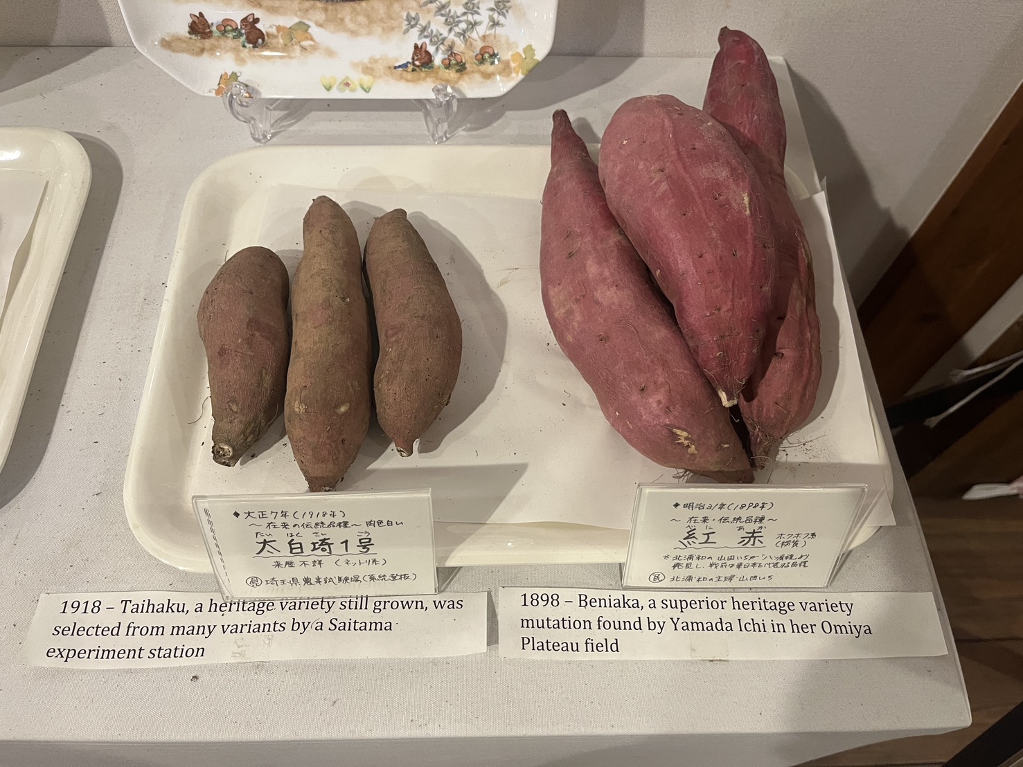 サツマイモまんが資料館川越