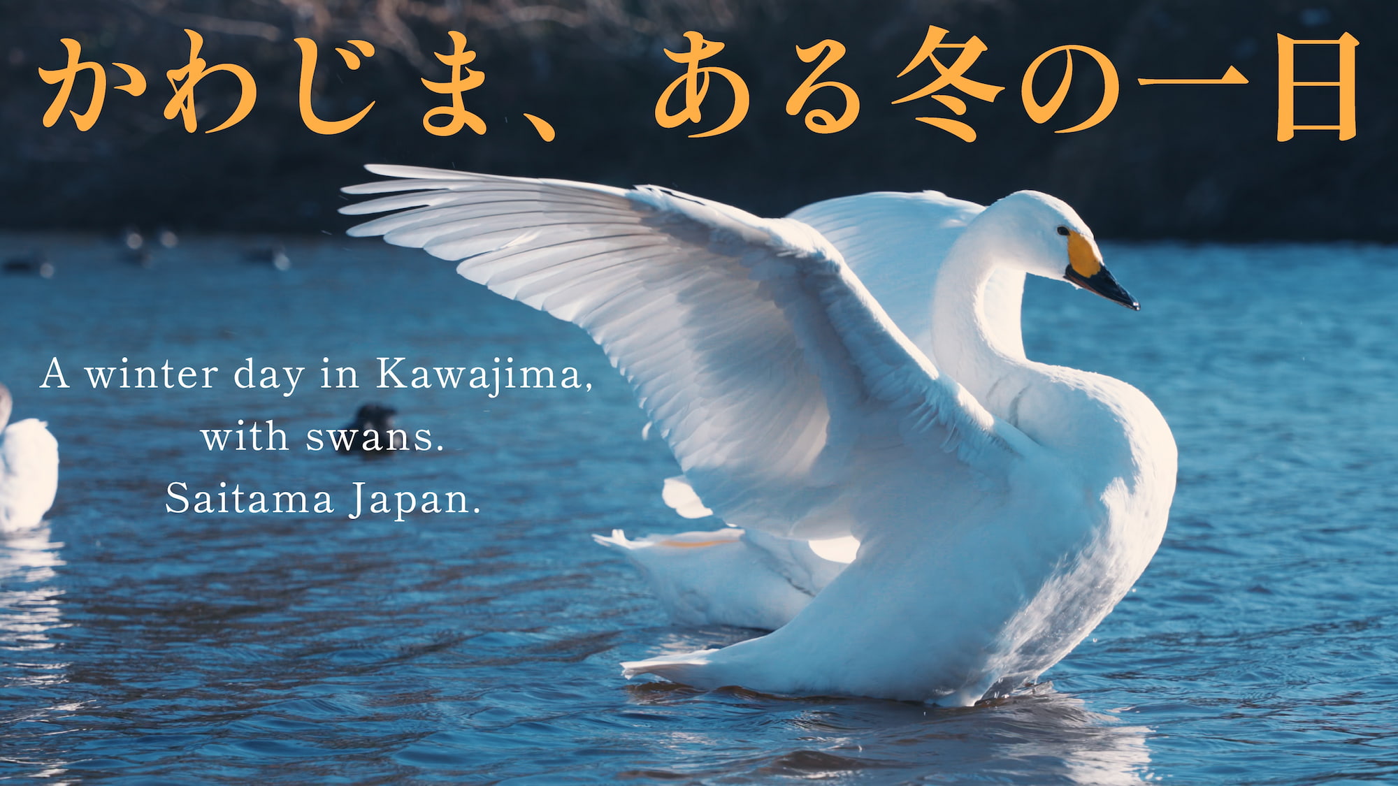 【川島町】「Bright Light」