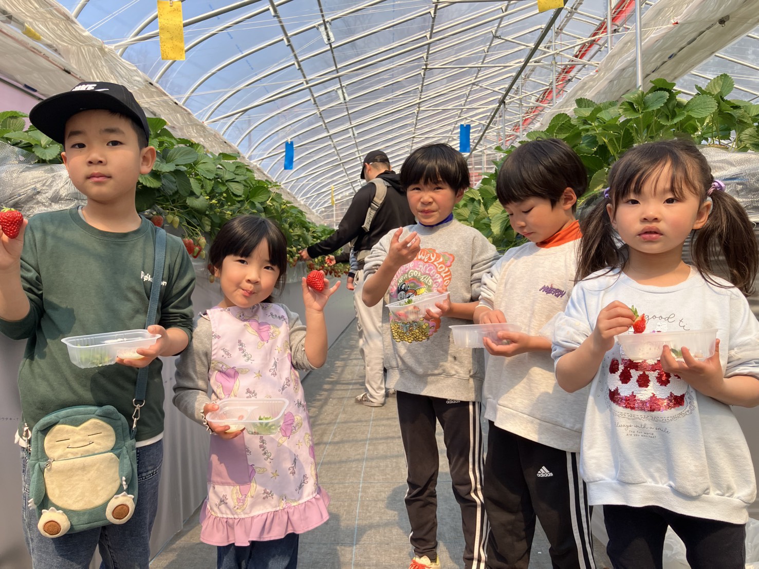 リトルプリンスいちご縁