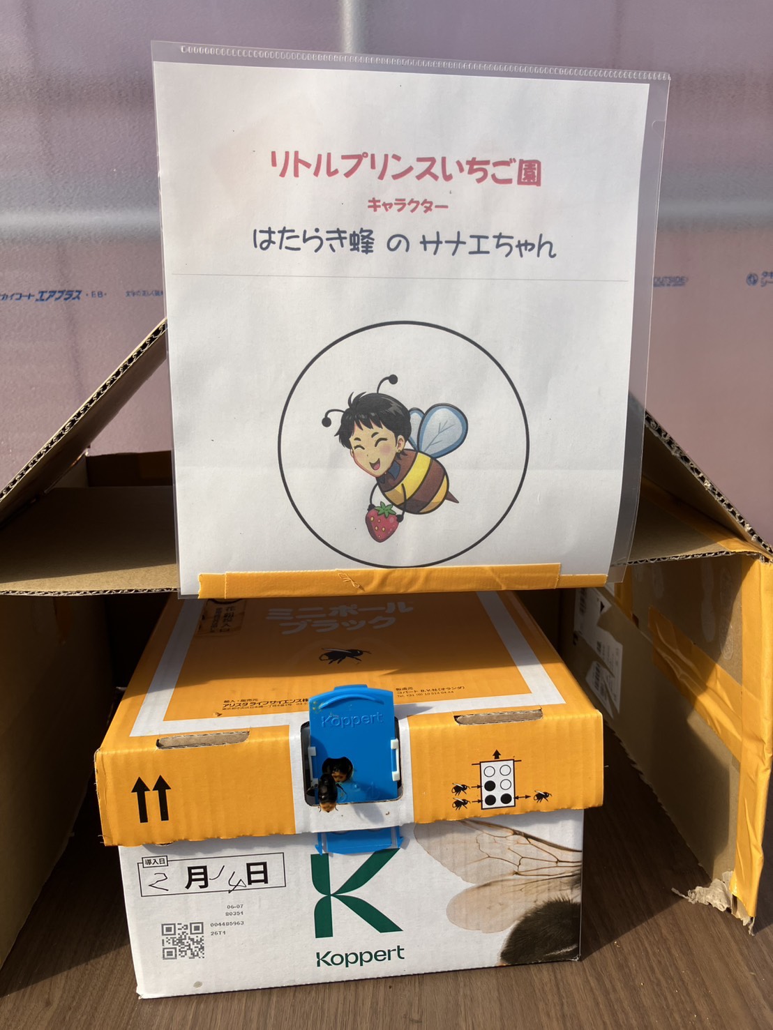 リトルプリンスいちご縁