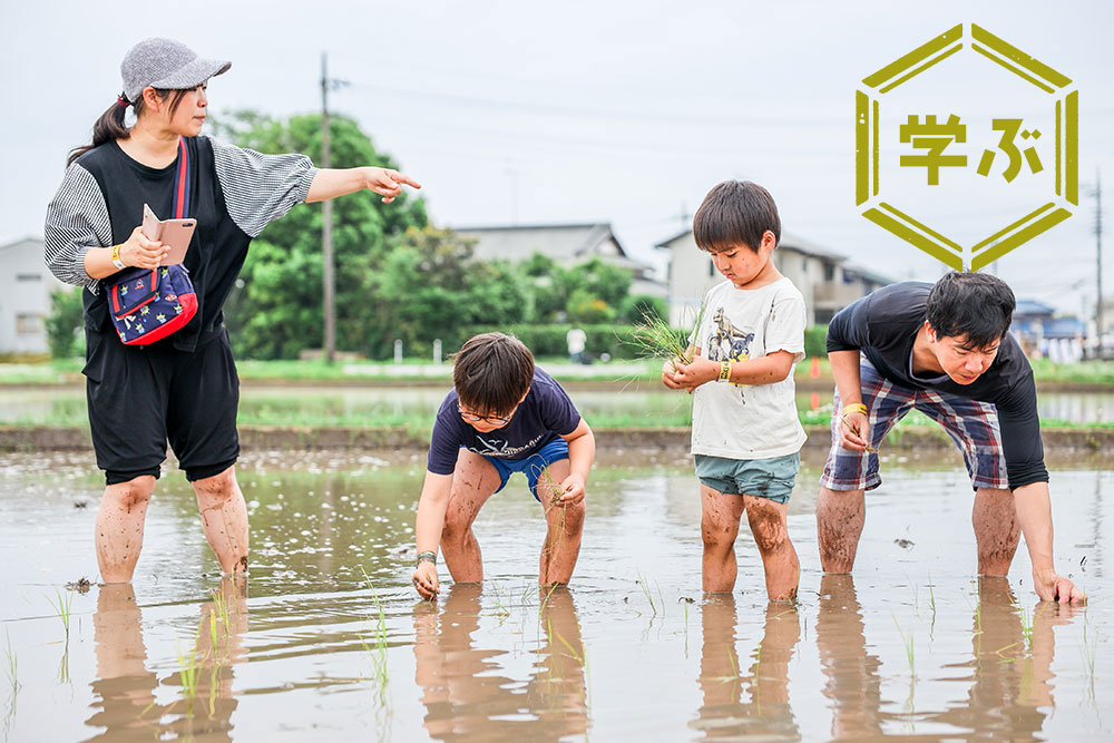 南古谷農園 ドロッチャ 黒米 泥遊び 食育