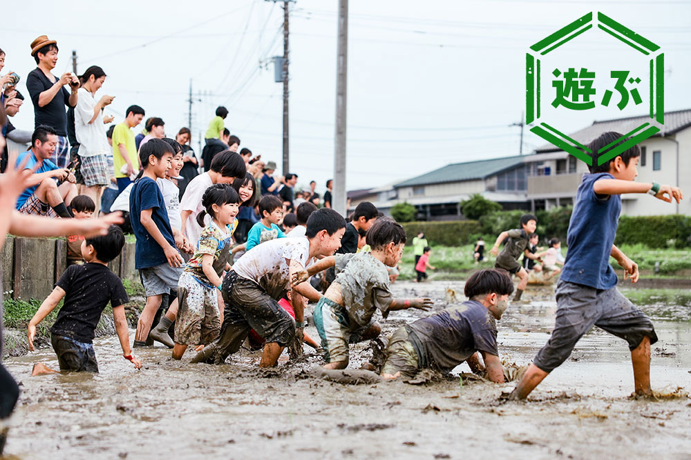 南古谷農園 ドロッチャ 黒米 泥遊び 食育