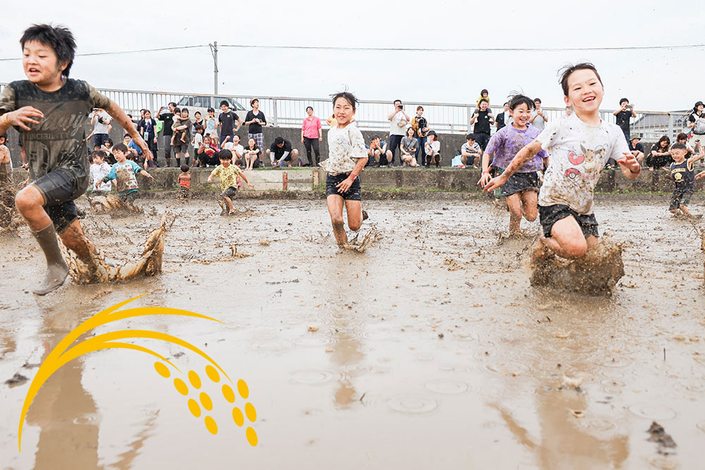 南古谷農園 ドロッチャ 黒米 泥遊び 食育