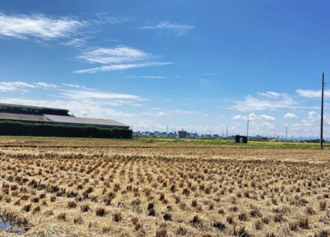 ミオカザロ 川越 ハム ベーコン ソーセージ