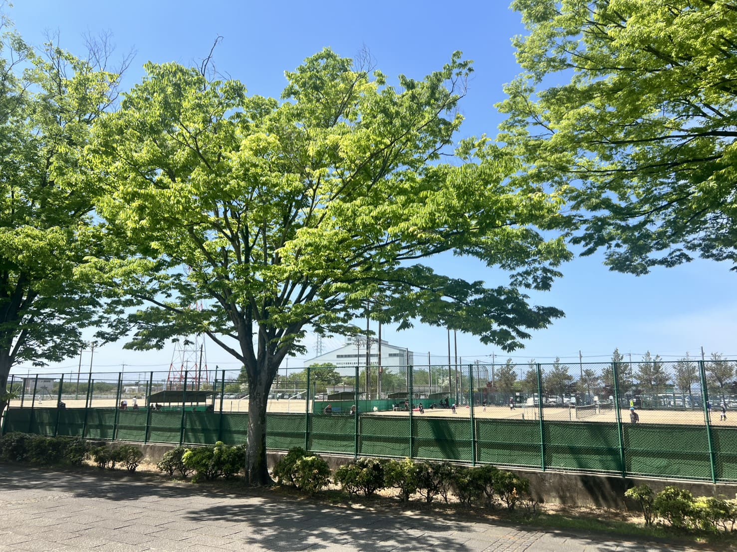 「川島平成の森公園」